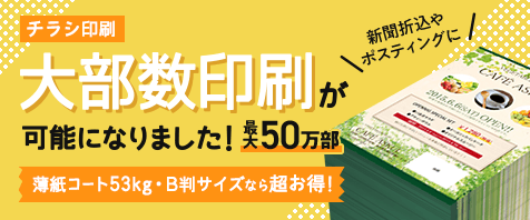 チラシ印刷 フライヤー印刷 アスクルパプリ 最短翌日お届け