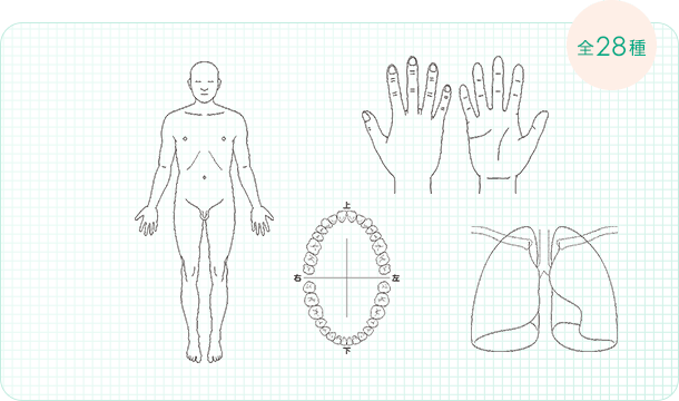 人体図スタンプ 全28種