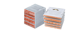 組み合わせ印・親子印のおトクなセット